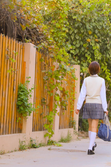 王的盛宴票房